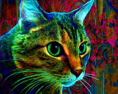cat_art_1t.jpg