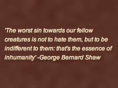quote_george-bernard-shaw-on-apathy_1.png