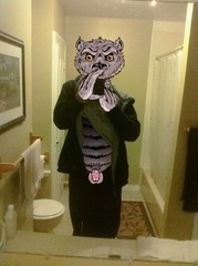 owl.jpg