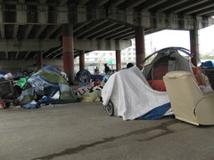 knoxville homeless -1.jpg