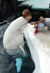 bieber-seaworld-1.jpeg