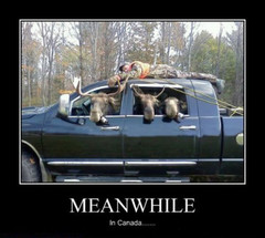 meanwhile-in-canada1.jpg