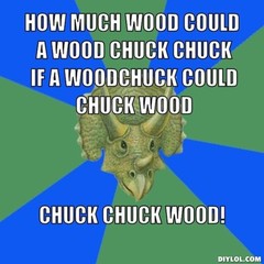 wood-could-a-wood-chuck-chuck-if-a-woodchuck-could-chuck-wood-chuck-ch
