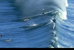 Cardiff by the sea waves + dolphines.jpg