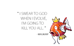 1251151432.png