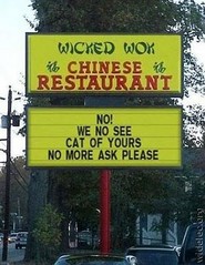 Chineserestaurant nowenoseecat.jpg