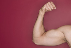 photolibrary_rf_photo_of_muscular_arm.jpg