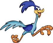 road runner.jpg