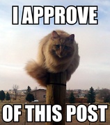 cat-approves-post.jpg