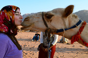 camel-kiss-duckys cousin.jpg