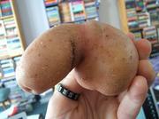 negidick-tater.jpg
