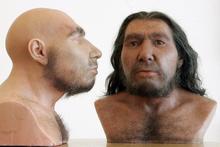 neandertaler-DW-Wirtschaft-Bonn.jpg