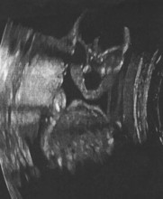 creepy-photos-17.jpg