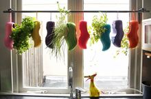 Wooden Shoes Spice-Herb garden Ikea.jpg