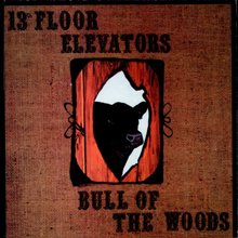 13th_floor_elevators_-_bull_of_the_.jpg