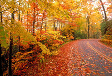 Maine-Fall-Foliage-Road-Trip.jpg