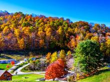 Fall foliage north-carolinajpg.jpg