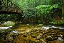 Jones-Gap State Park.jpg