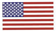 tmp_5971-nazi-american-flag17861879.jpg