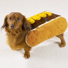 Dog in hot dog bun.jpg