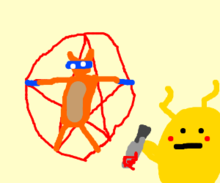 pp9.png