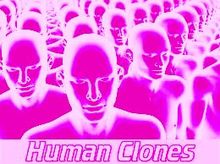Clones Human-magenta.jpg