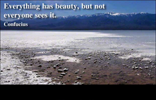confucius-everything has beauty but.png