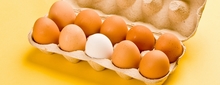 Eggs good for you.jpg