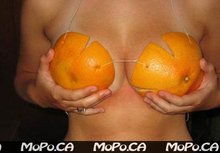 orange-boobs-774489.jpg