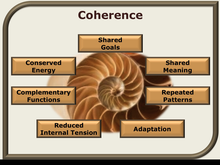 coherence shared goals shared meani.png