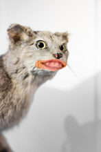 1319852881199715-say that to my fac.jpg