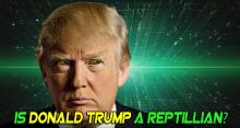 TRUMP REPTILE.jpg