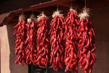New Mexico Red Chile Ristrasweb.jpg