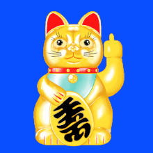 gato.gif