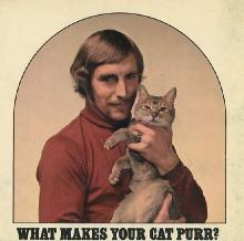 what-makes-your-cat-purr-worst-album-covers.jpg
