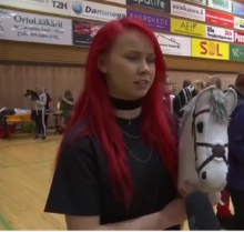 Hobby horse finland.png