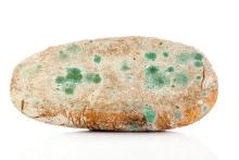 Panera mold-on-bread-mouldy-bread-i.jpg