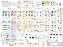 Pussy differences works.png