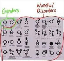 Genders vs mental disorders.jpg