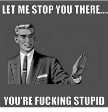 let-me-stop-you-there-youre-fucking.png