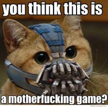 bane-cat.jpg