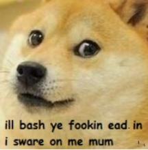 dogemum.jpg