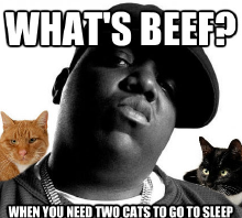beef.png