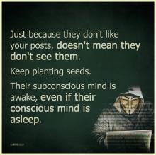 keep-planting-seeds.jpg
