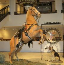 Trigger and Bullet.jpg