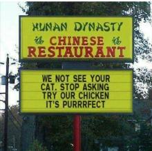 Chinese we not see your cat.jpg