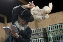 Kapparot Rabbi waves chicken.jpg