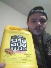 BedBug.jpg BedBug.jpg