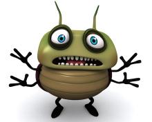 bug.jpg