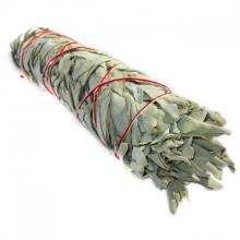 Large sage-700x700.jpg